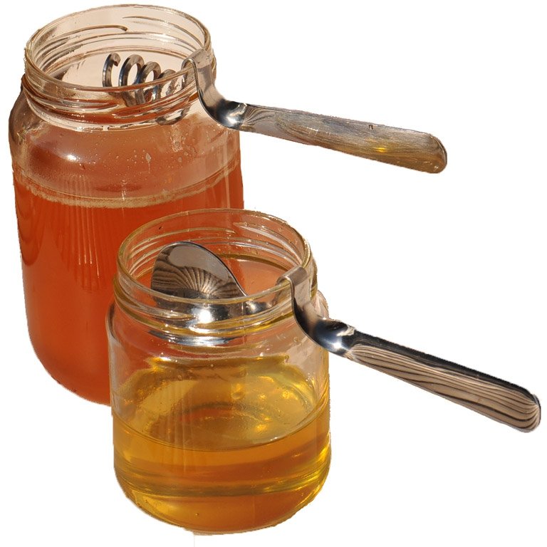 Cuillères à Miel en inox vendues en lot de 2 - idéal pour miel liquide