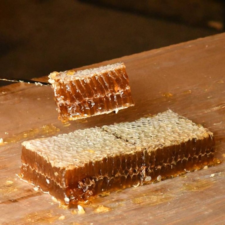 Le miel en rayon : un produit d'exception