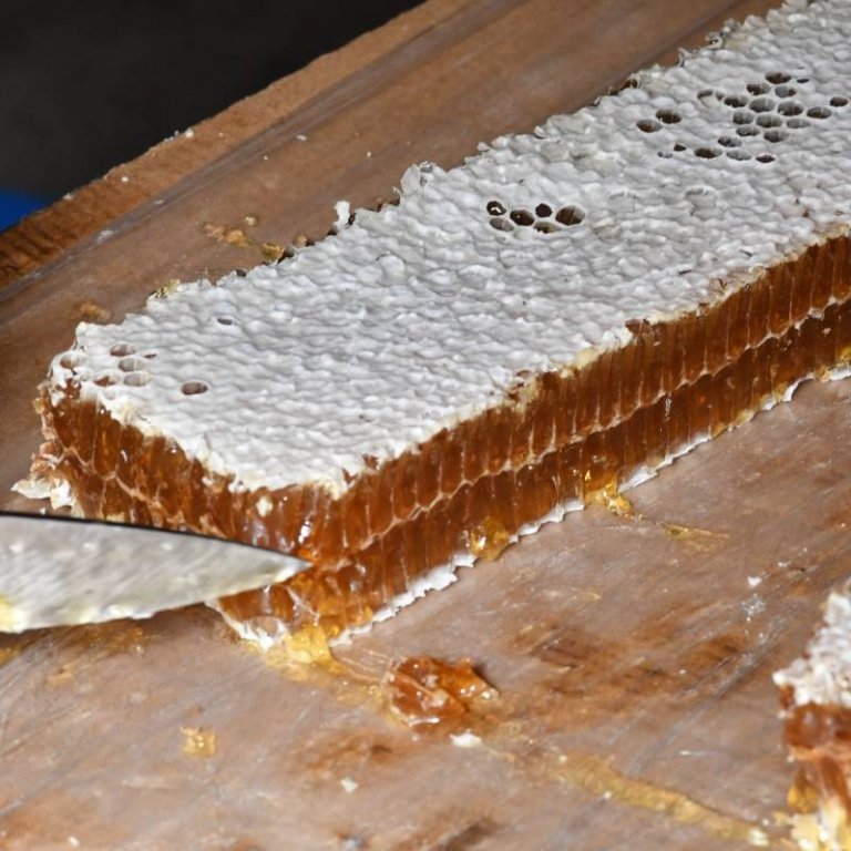 Miel en rayon - La Miellerie des Arves