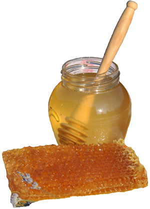 Composición de la miel - Le Rucher de l'Ours
